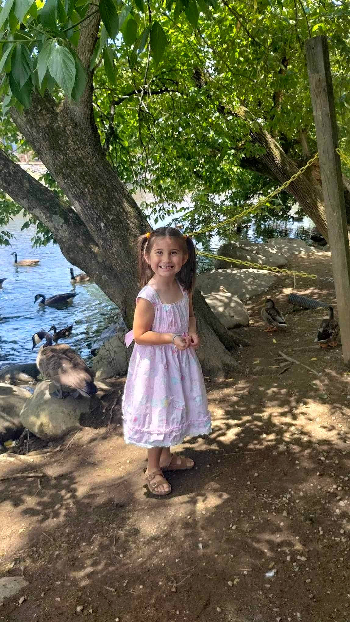 Annie joined the competition — help win amazing prizes! adaptation, branch, dress, forest, fun, grass, happy, joy, leaf, leisure, natural_environment, people_in_nature, person, plant, smile, sunlight, toddler, tree, trunk, water