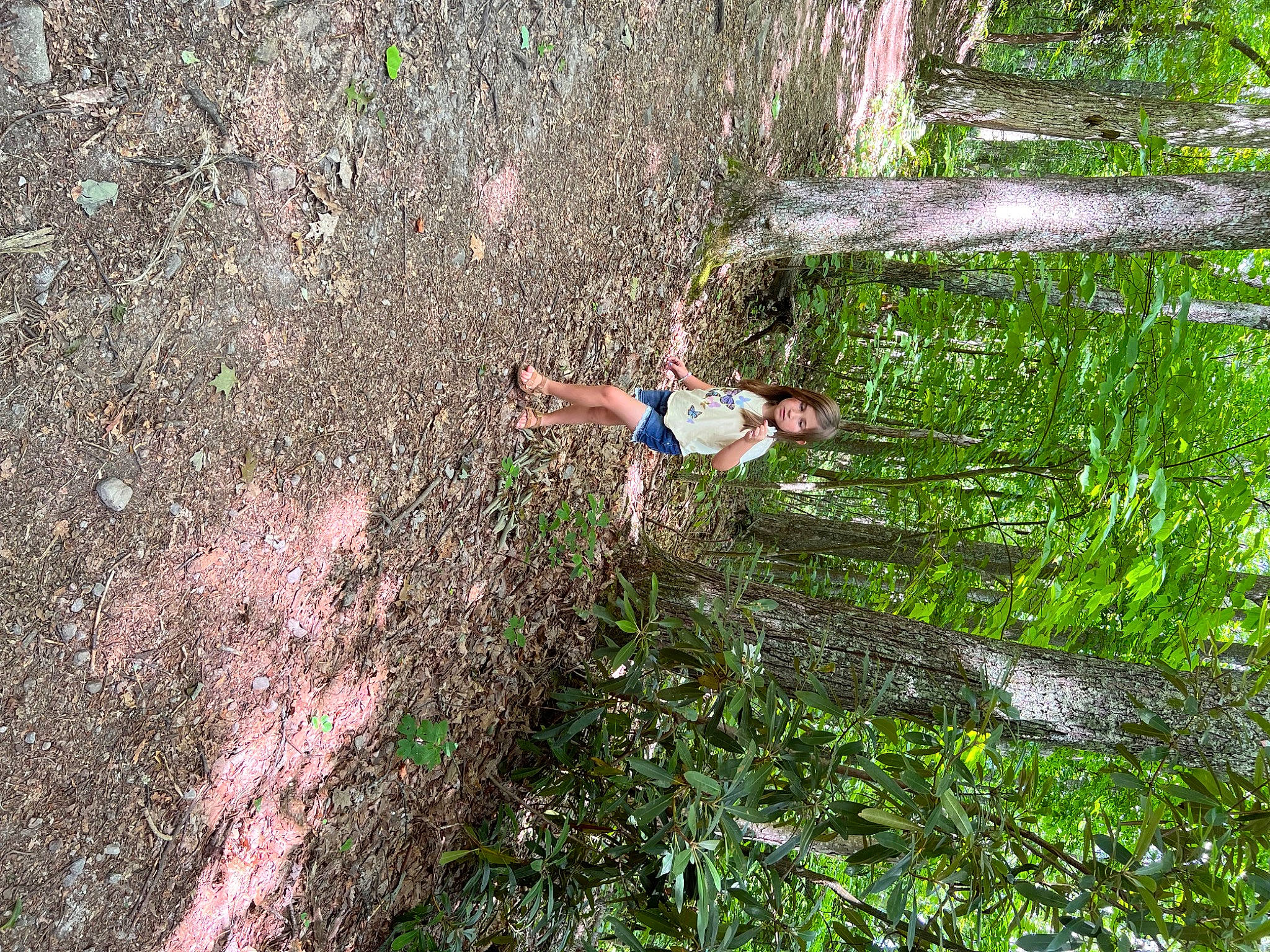 Annie is registered to the contest to win money with this photo: bedrock, branch, forest, grass, groundcover, jungle, landscape, leisure, organism, people_in_nature, person, plant, recreation, shrub, soil, terrestrial_plant, tree, trunk, watercourse, wood