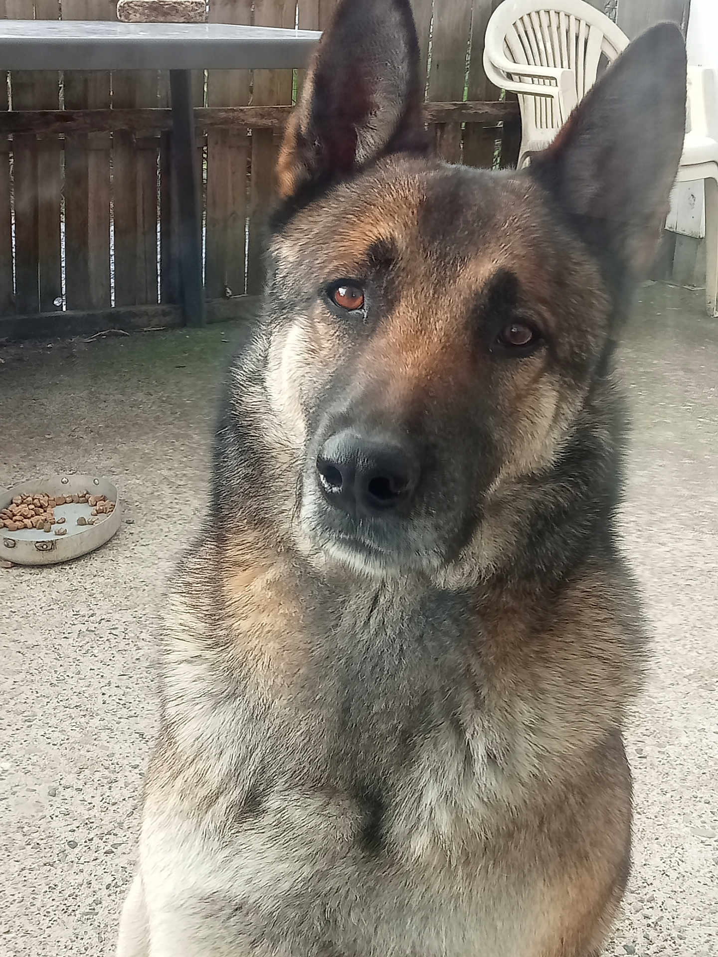 Buck
