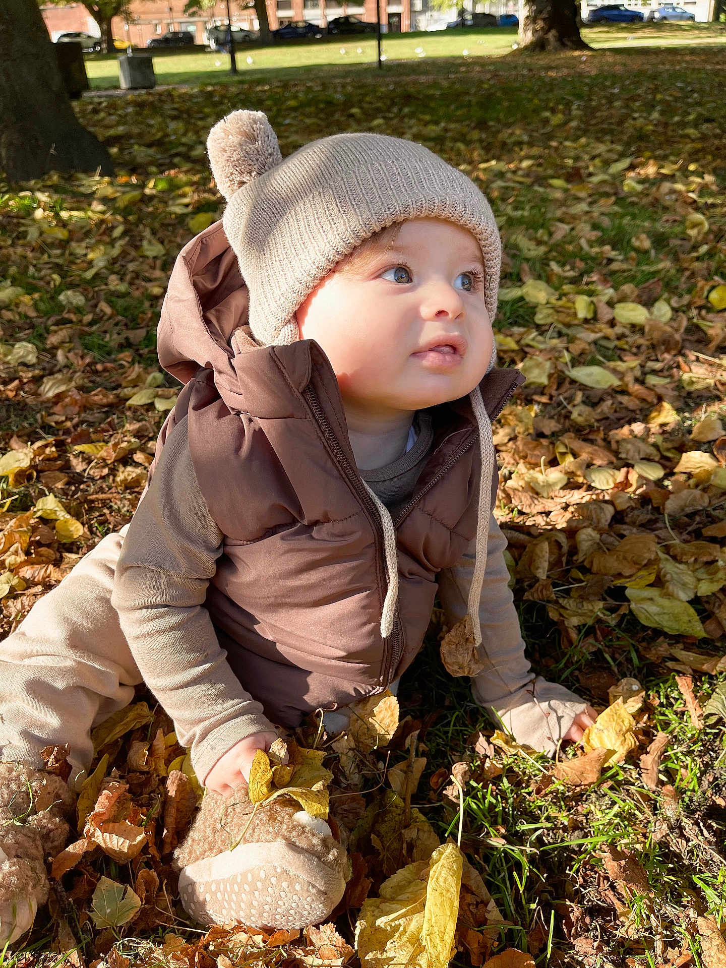 Thomas joined the competition — help win amazing prizes! toddler, child, autumn, leaves, park, outdoor, knitted_hat, pom_pom, vest, curious, grass, sunlight, soft_slipper, fall, nature, baby, cute, seasonal, exploring, clothing