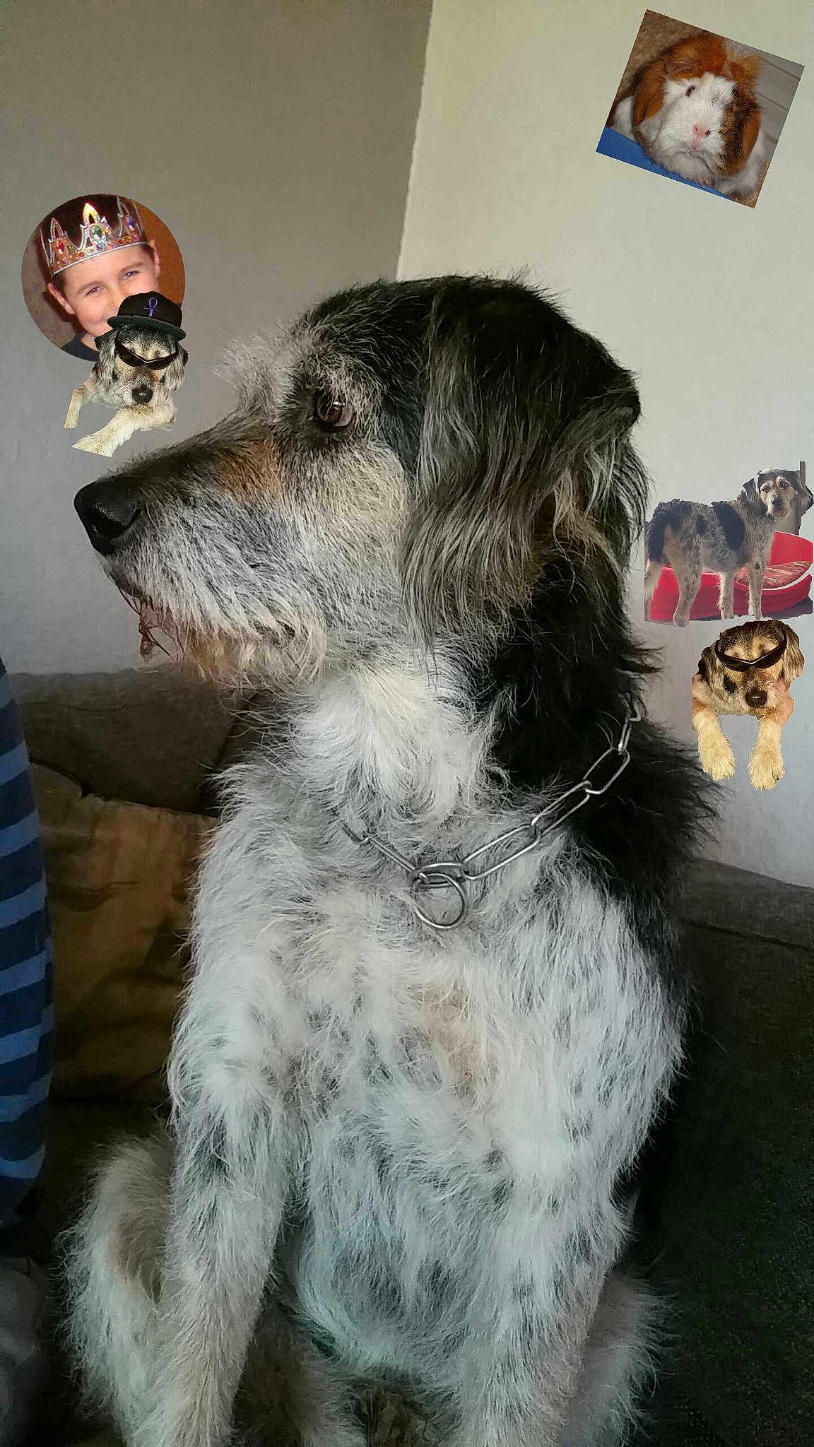 Pollux