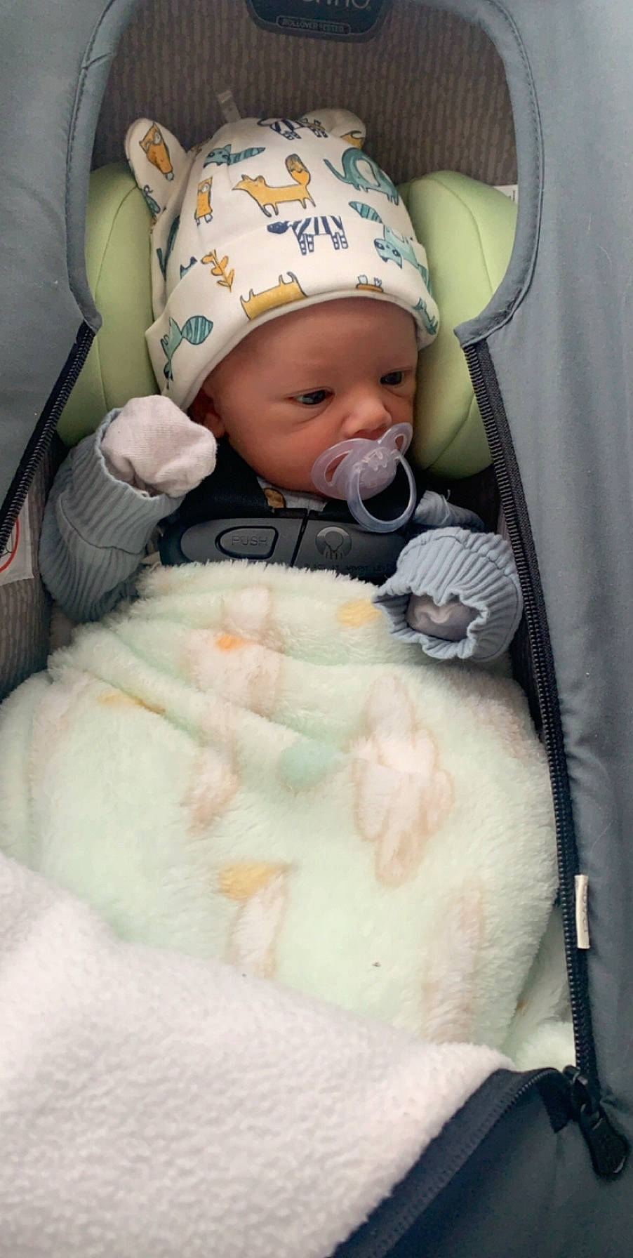 Dane joined the competition — help win amazing prizes! baby, baby_carriage, baby_in_car_seat, baby_products, baby_safety, baby_toddler_clothing, beanie, car_seat, cheek, child, comfort, fur, headwear, linens, mouth, person, seat_belt, service, skin, textile