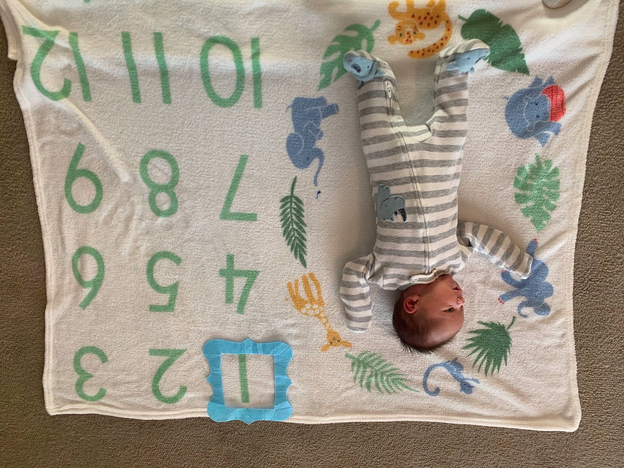 Dane is registered to the contest to win money with this photo: art, baby_toddler_clothing, craft, design, event, fashion_accessory, font, green, leaf, linens, mammal, needlework, pattern, person, product, rectangle, room, sleeve, textile, toy