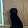 Shadow