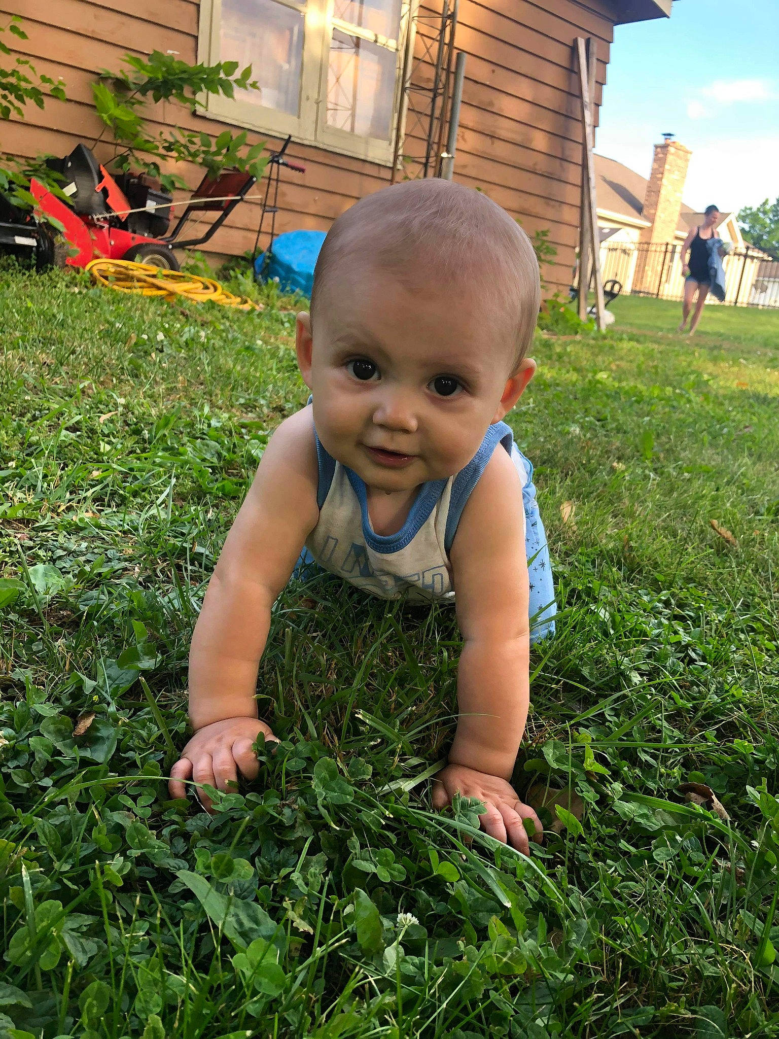 Bradley joined the competition — help win amazing prizes! baby, child, garden, grass, grass_family, groundcover, lawn, leaf, person, plant, play, skin, smile, summer, toddler, yard