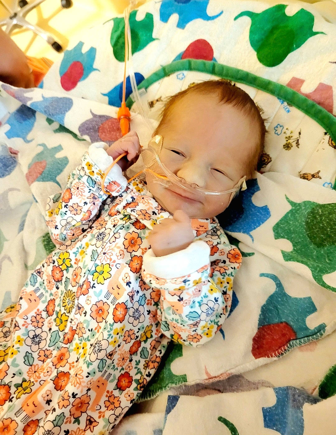 Kinsley joined the competition — help win amazing prizes! baby, baby_products, baby_toddler_clothing, baby_toys, cheek, child, dress, eye, grass, happy, head, linens, pattern, person, play, product, room, sitting, sleeve, textile