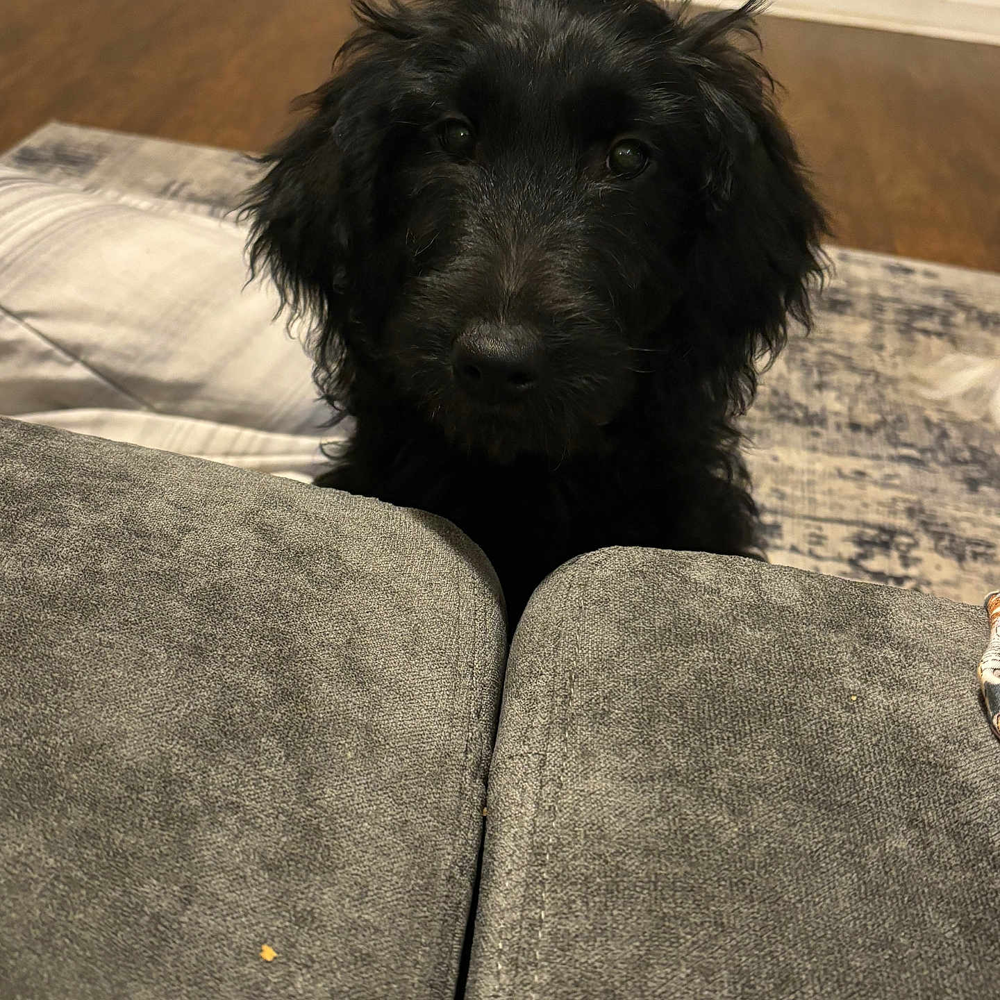 Coco