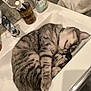 cat, sleeping, tabby, sink, bathroom, toothbrush, toothpaste, soap, towel, fur, domestic_cat, pet, curled_up, relaxed, resting, collar, grey, striped, cute, cozy