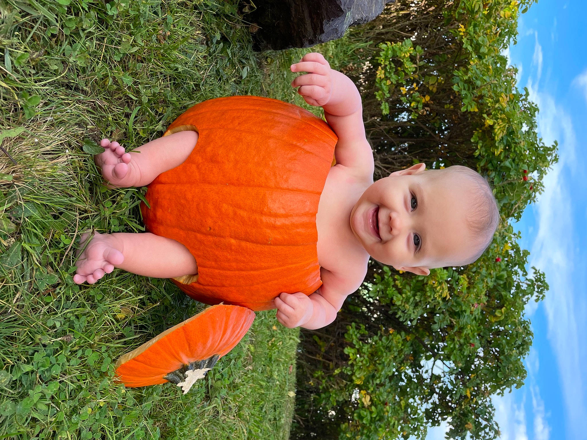 Penelope Rose is registered to the contest to win money with this photo: botany, calabaza, cloud, eye, face, grass, grass_family, happy, head, human_body, joy, lawn_ornament, leisure, people_in_nature, person, plant, pumpkin, sky, smile, toy