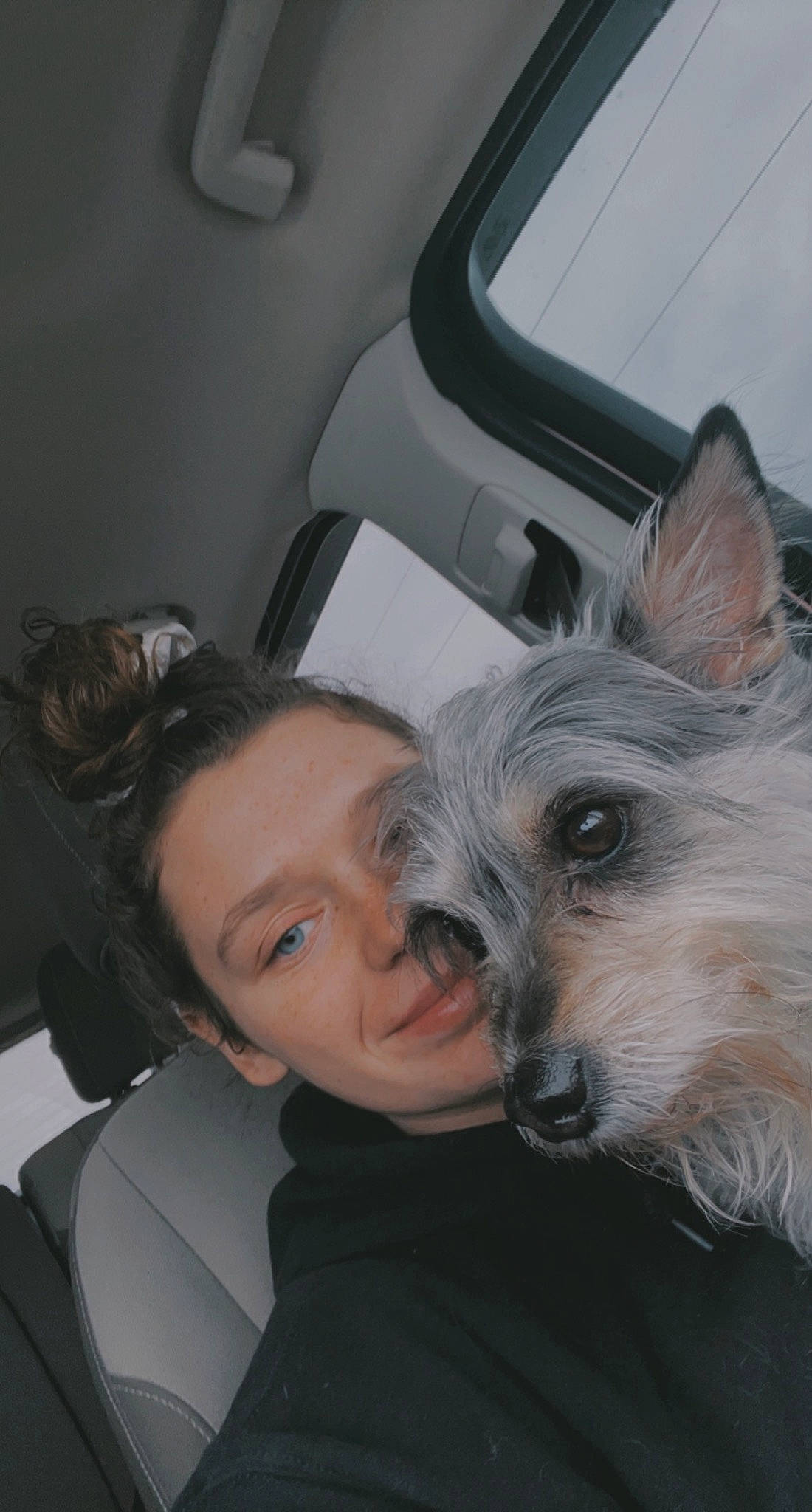 Pepper joined the competition — help win amazing prizes! auto_part, automotive_design, canidae, carnivore, comfort, companion_dog, dog, dog_breed, ear, family_car, fur, luxury_vehicle, personal_luxury_car, sitting, small_terrier, smile, snout, sporting_group, toy_dog, vehicle_door