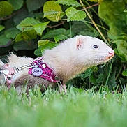 June a rejoint le concours — aidez-le/la à gagner de superbes lots !