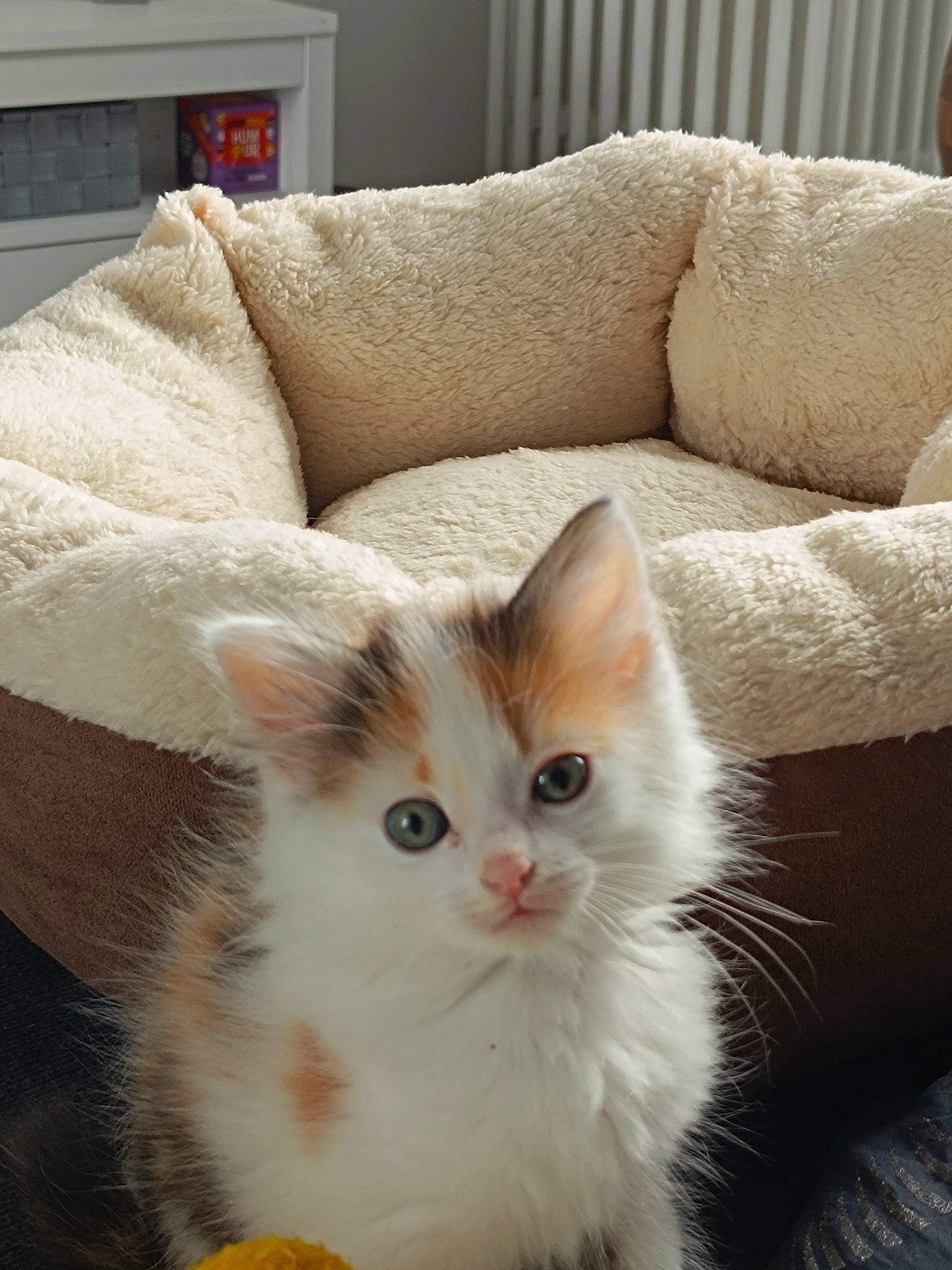 Mia