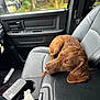 Mystik joined the competition — help win amazing prizes! animal, armrest, brown_dog, car_interior, center_console, comfort, dog, door_panel, electronic_device, gray_seat, greenery, interior, pet, resting, seatbelt, side_mirror, sleeping, tissue, vehicle_seat, window