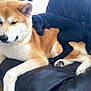 Sarge is registered to the contest to win money with this photo: