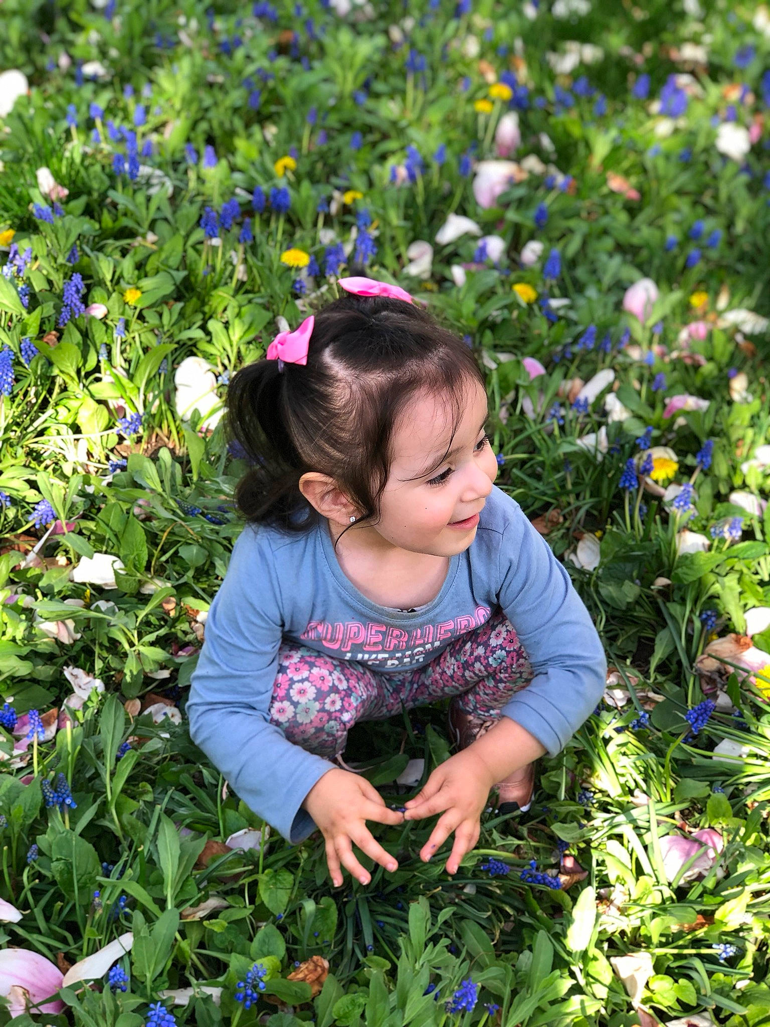 Xitalli is registered to the contest to win money with this photo: annual_plant, botany, child, delphinium, flower, flowering_plant, garden, pansy, people_in_nature, person, plant, spring, toddler, viola, violet_family, wildflower