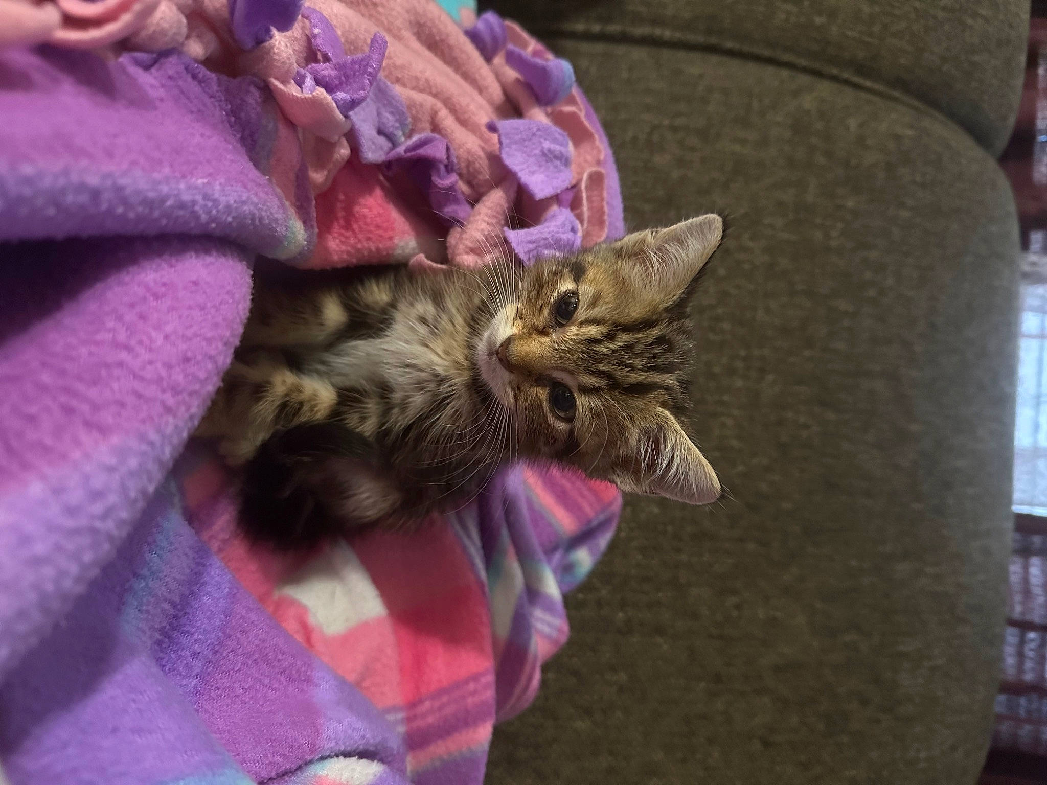 Tigger