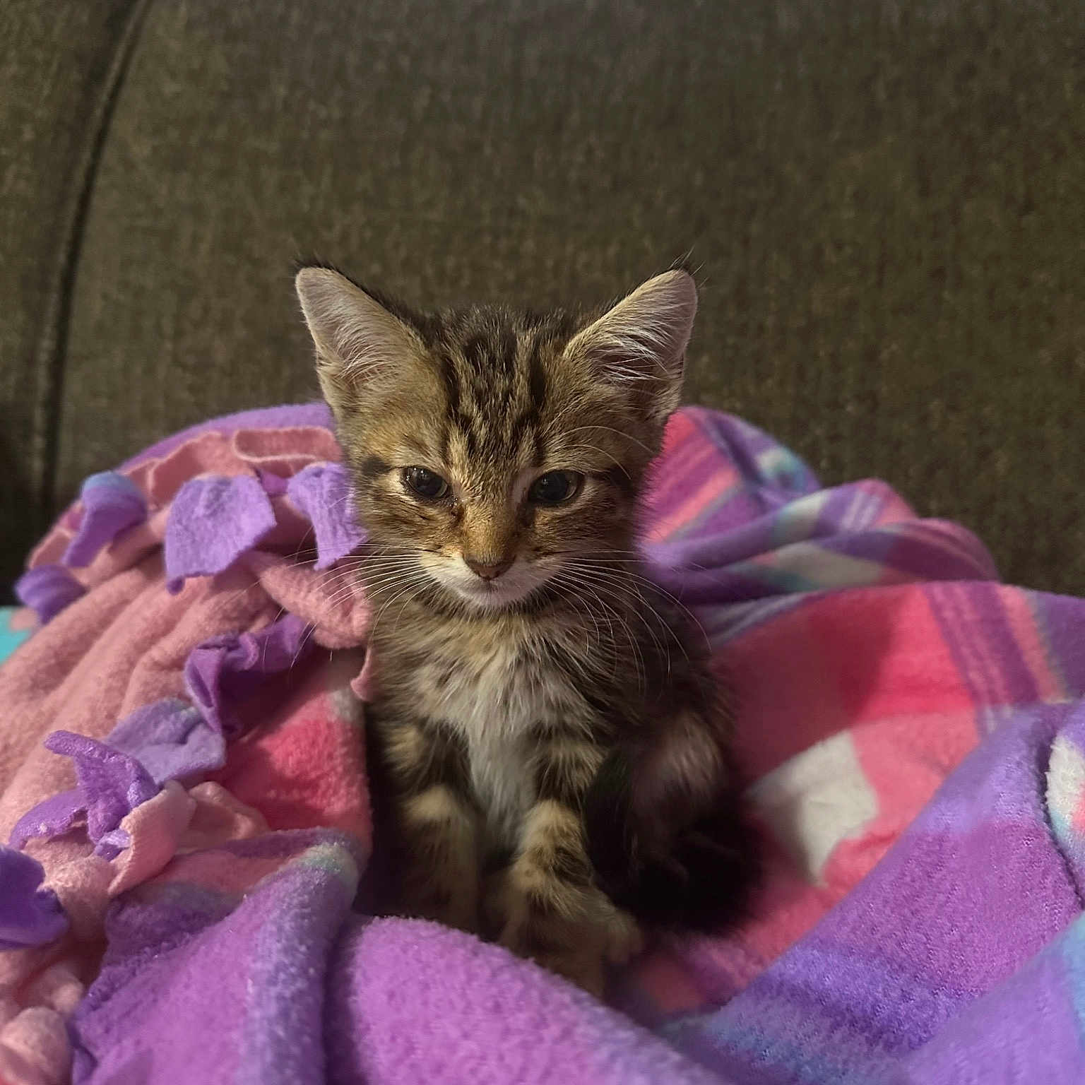 Tigger