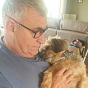 Canaille participe au concours pour gagner de l'argent avec cette photo : man, dog, glasses, gray_hair, indoor, couch, window, light, pet, affection, casual_clothing, portrait, hand, fur, collar, beard, living_room, comfort, close_up, relaxation
