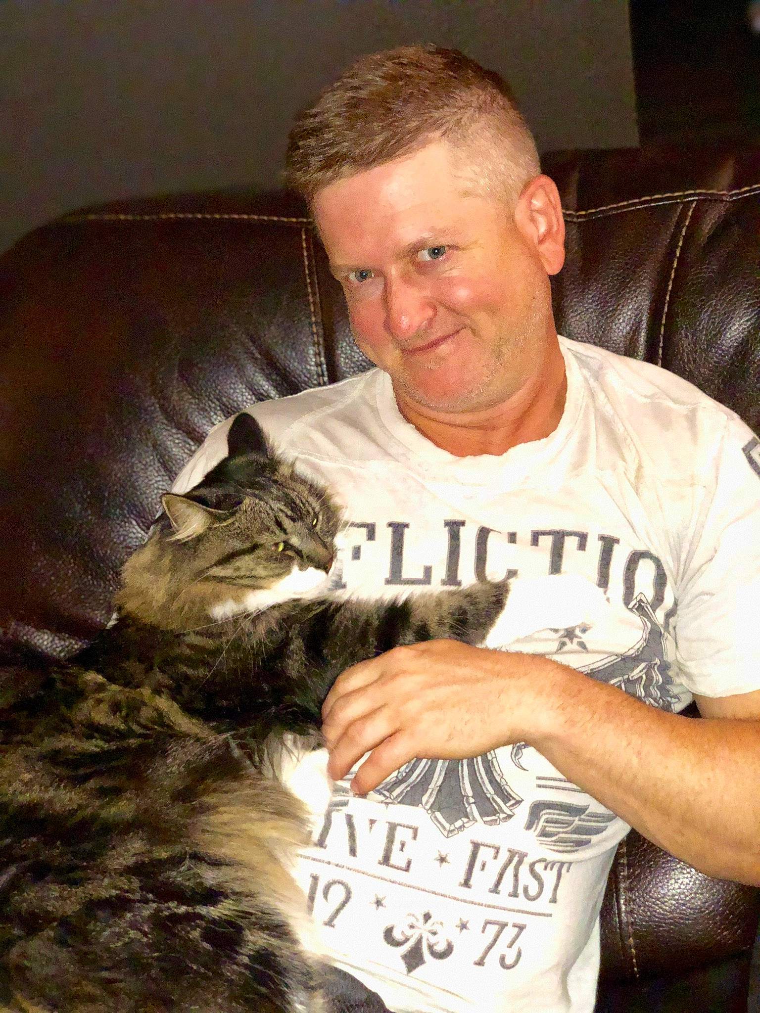 King is registered to the contest to win money with this photo: carnivore, cat, felidae, small_to_medium_sized_cats, whiskers