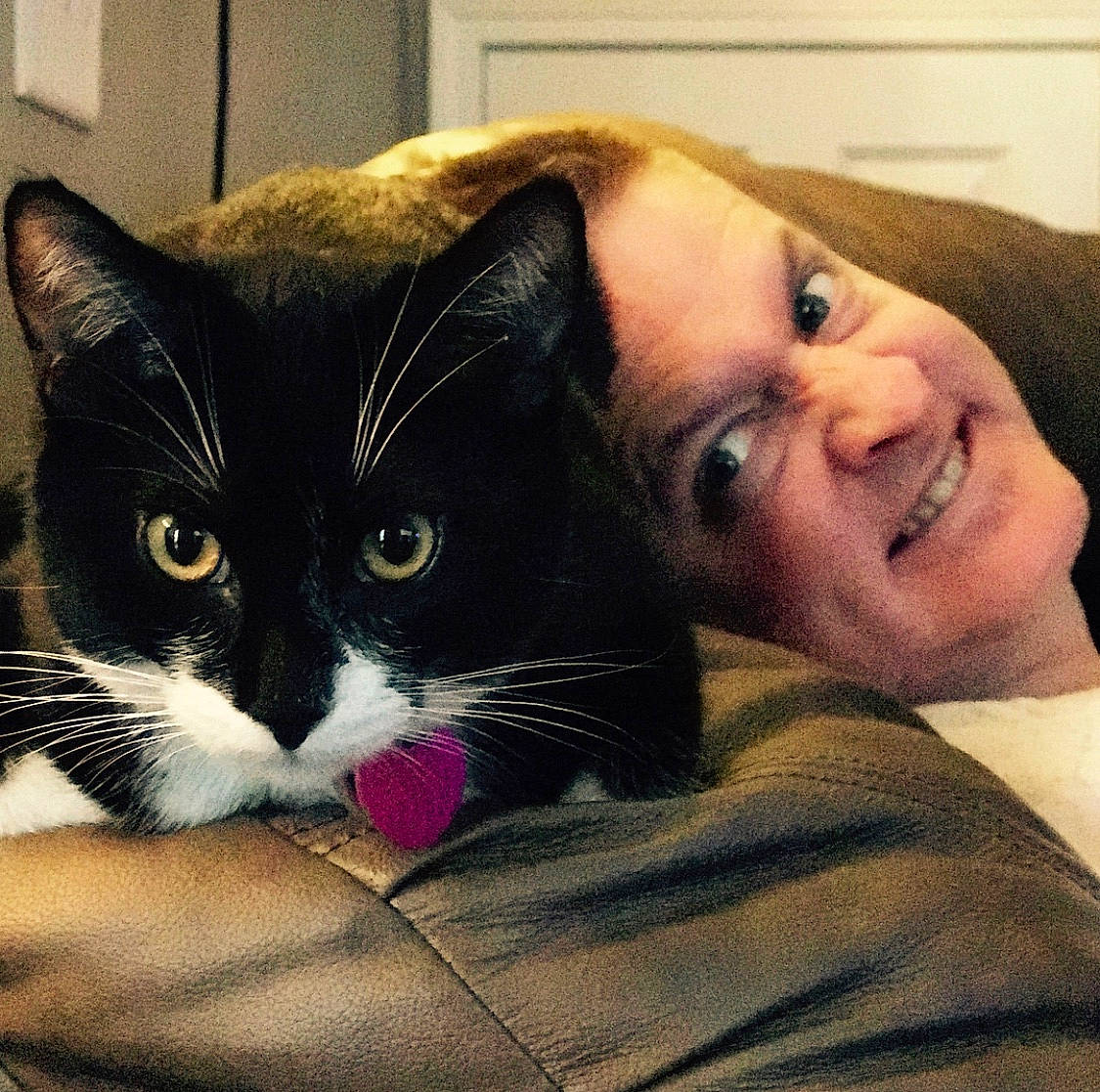 Fluffy joined the competition — help win amazing prizes! black_hair, carnivore, cat, cheek, ear, eye, face, felidae, fur, hair, head, iris, kitten, nose, photography, selfie, shoulder, small_to_medium_sized_cats, snout, whiskers