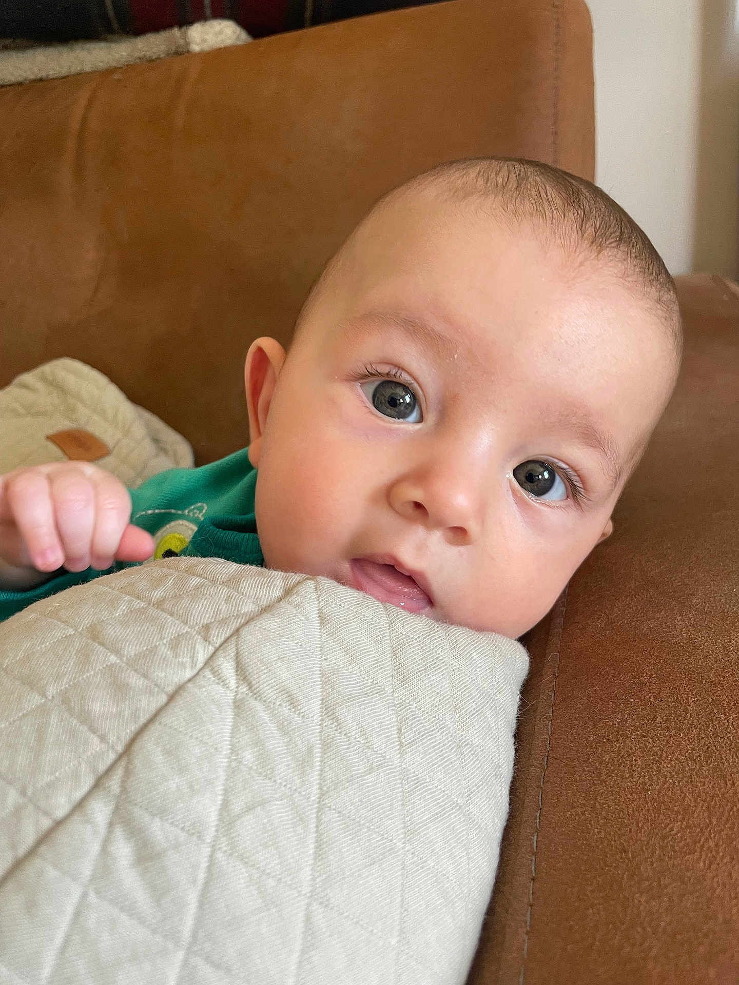 Louis participe au concours pour gagner de l'argent avec cette photo : baby, infant, face, eyes, blanket, couch, furniture, closeup, skin, head, hand, expression, indoor, person, cute, young, child, portrait, curious, soft