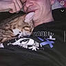 man, cat, sleeping_cat, smiling, indoor, casual, young_adult, tabby_cat, resting, black_clothing, portrait, face, hand, cozy, social_media, screenshot, text_overlay, technology, bed, relaxation