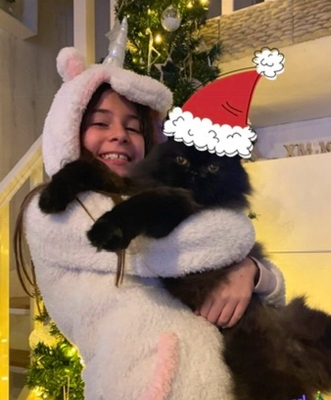 Isidore participe au concours pour gagner de l'argent avec cette photo : cap, christmas, christmas_decoration, christmas_eve, christmas_tree, costume, costume_hat, event, fun, fur, fur_clothing, happy, hat, holiday, lap, outerwear, smile, textile, tree, white