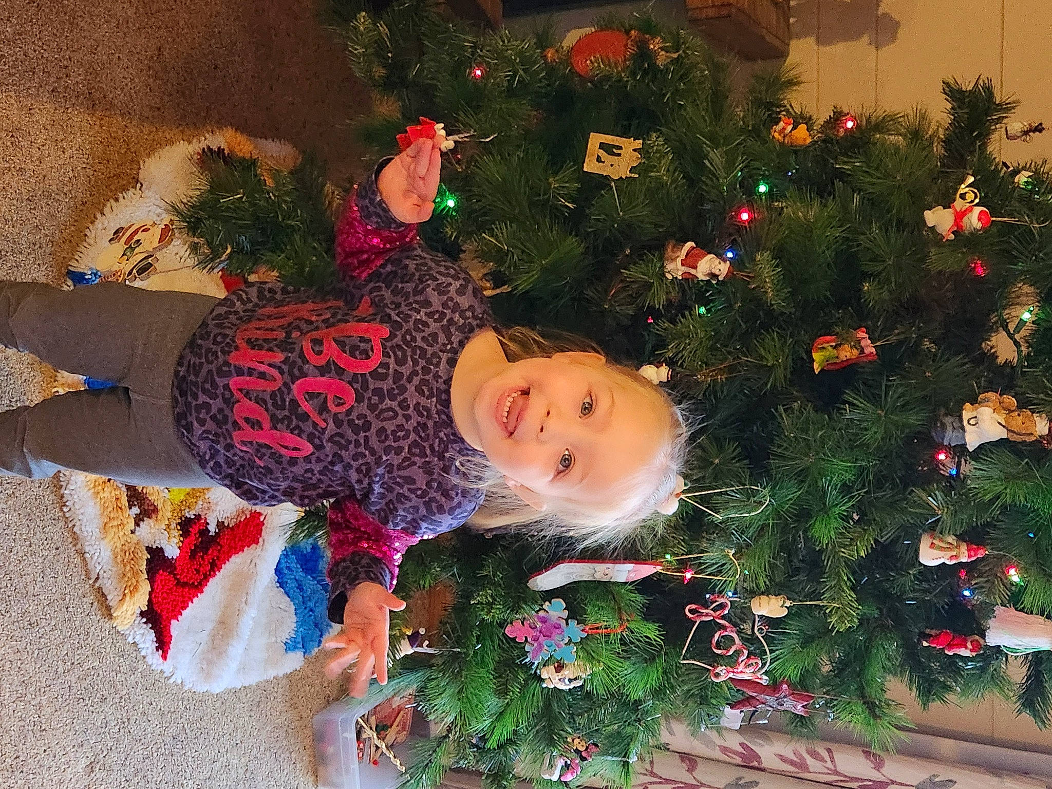 Anna is registered to the contest to win money with this photo: carmine, christmas, christmas_decoration, christmas_eve, christmas_lights, christmas_ornament, christmas_tree, conifer, event, evergreen, happy, holiday, holiday_ornament, interior_design, joy, ornament, person, plant, smile, toddler