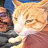 animal, blue_cushion, casual, cat, close_up, couch, cozy, face, feline, ginger_cat, glasses, human, indoor, mustache, person, pet, relaxed, resting, whiskers, white_paws