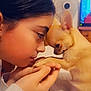 Savanah participe au concours pour gagner de l'argent avec cette photo : girl, child, person, dog, chihuahua, pet, puppy, closeup, forehead_touch, hands, bed, blanket, indoor, bedroom, loving, affectionate, human_animal_interaction, face_to_face, small_dog, television_background
