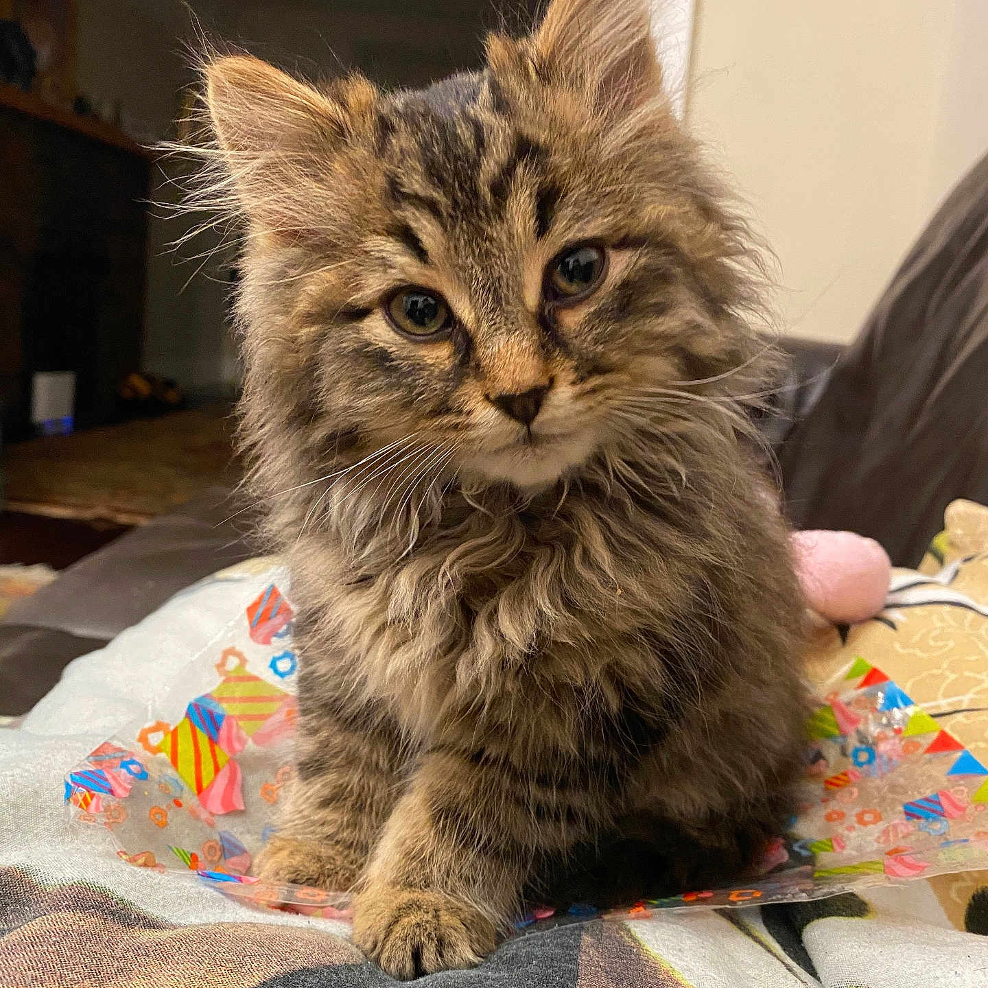 Niko
