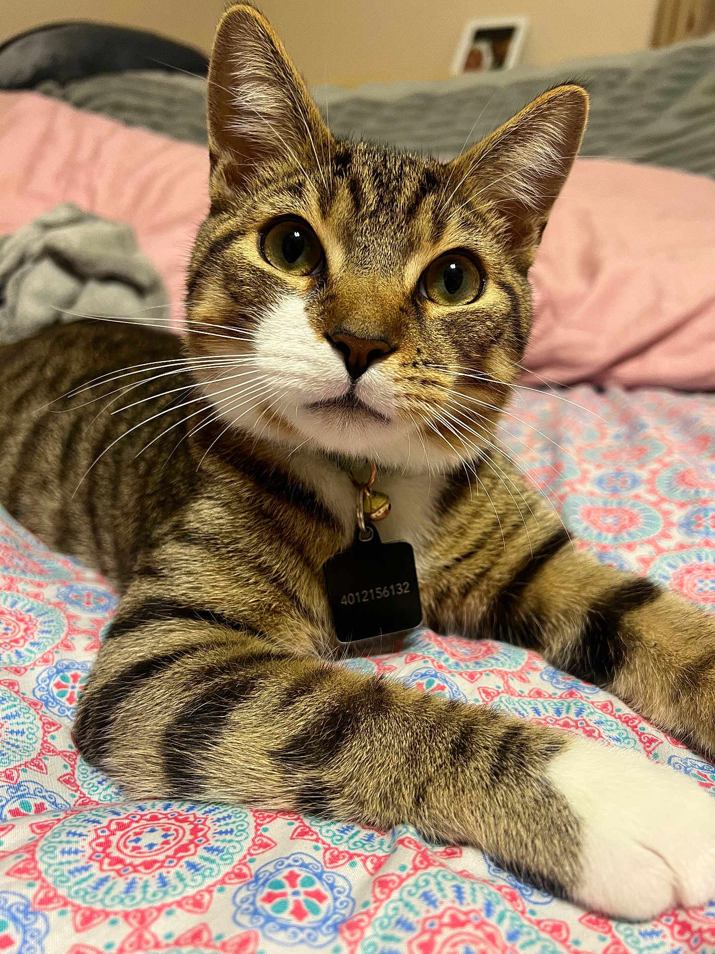 Mufasa