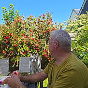 Willy a rejoint le concours — aidez-le/la à gagner de superbes lots ! man, cat, outdoor, garden, table, chair, greenery, flowers, sunlight, daylight, blue_sky, glasses, short_hair, yellow_shirt, pet, nature, relaxation, summer, backyard, foliage