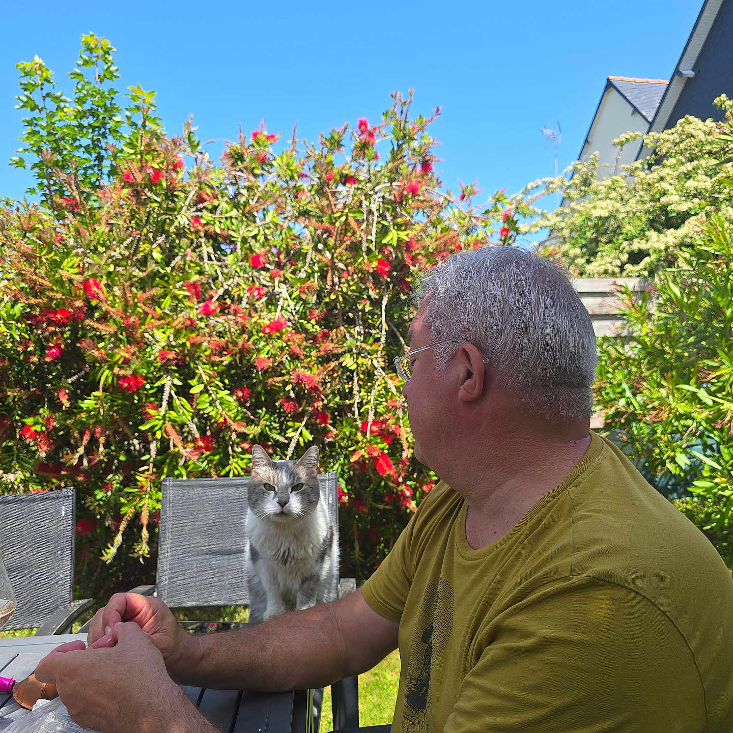 Willy a rejoint le concours — aidez-le/la à gagner de superbes lots ! man, cat, outdoor, garden, table, chair, greenery, flowers, sunlight, daylight, blue_sky, glasses, short_hair, yellow_shirt, pet, nature, relaxation, summer, backyard, foliage
