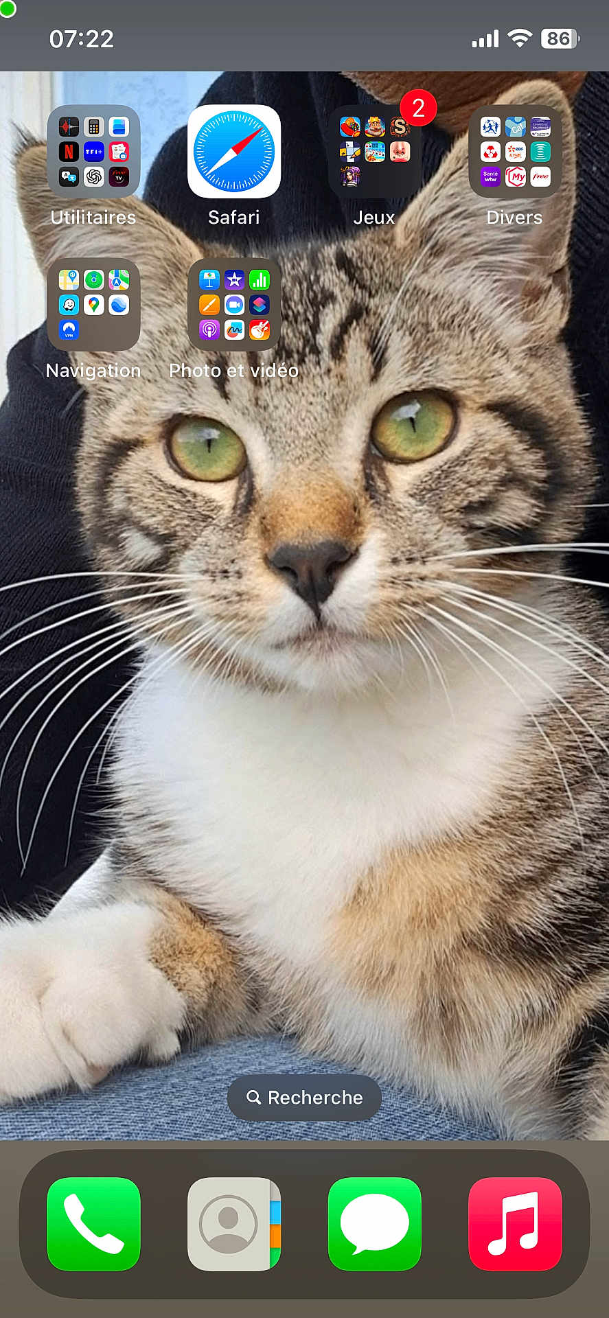 Milo a rejoint le concours — aidez-le/la à gagner de superbes lots ! cat, tabby, green_eyes, close_up, paw, whiskers, fur, pet, domestic_animal, animal, portrait, face, resting, cute, feline, home, app_icons, smartphone_screenshot, technology, background