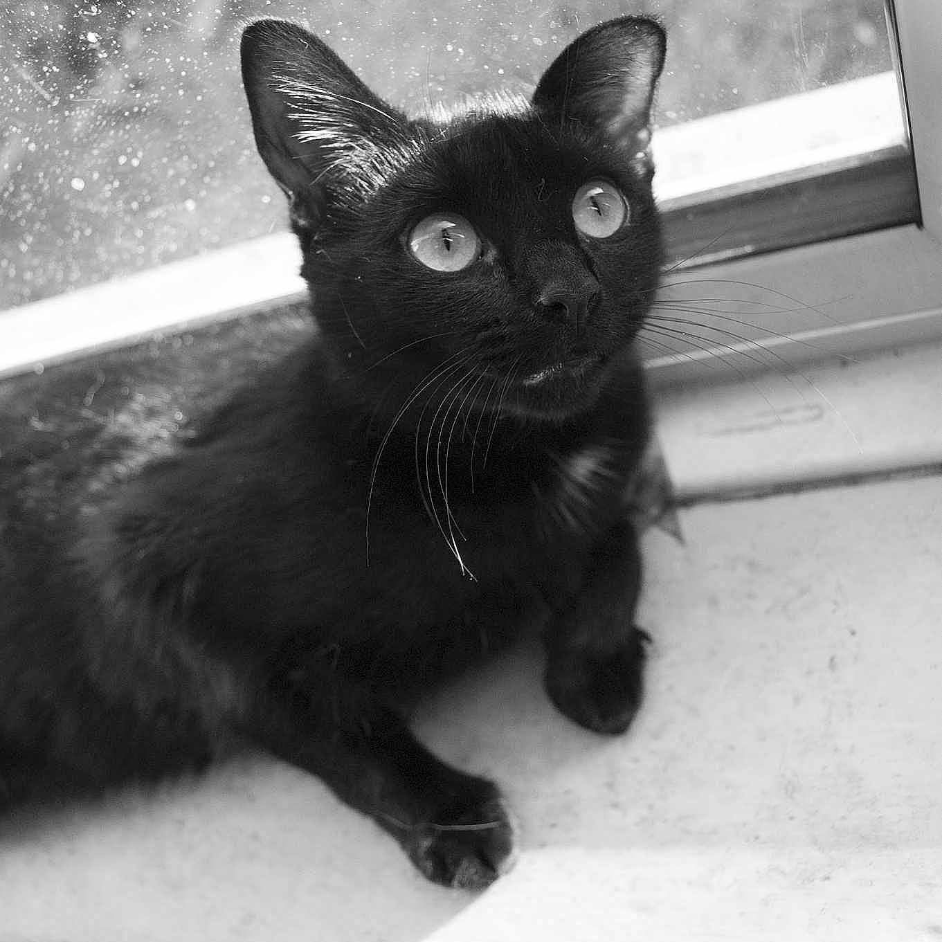 Luna is registered to the contest to win money with this photo: