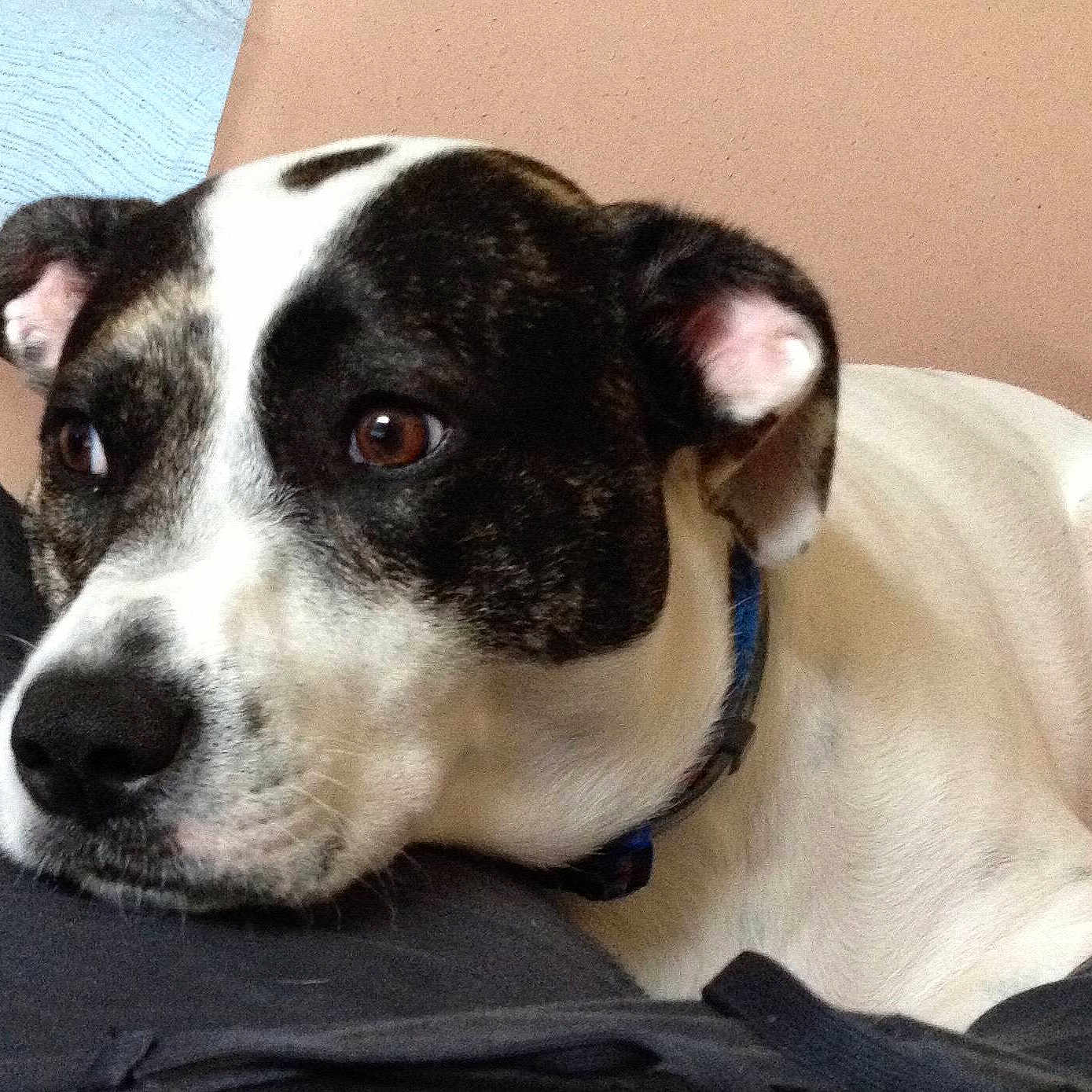Tucker is registered to the contest to win money with this photo: