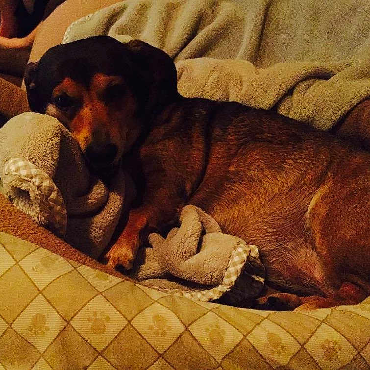 Lily