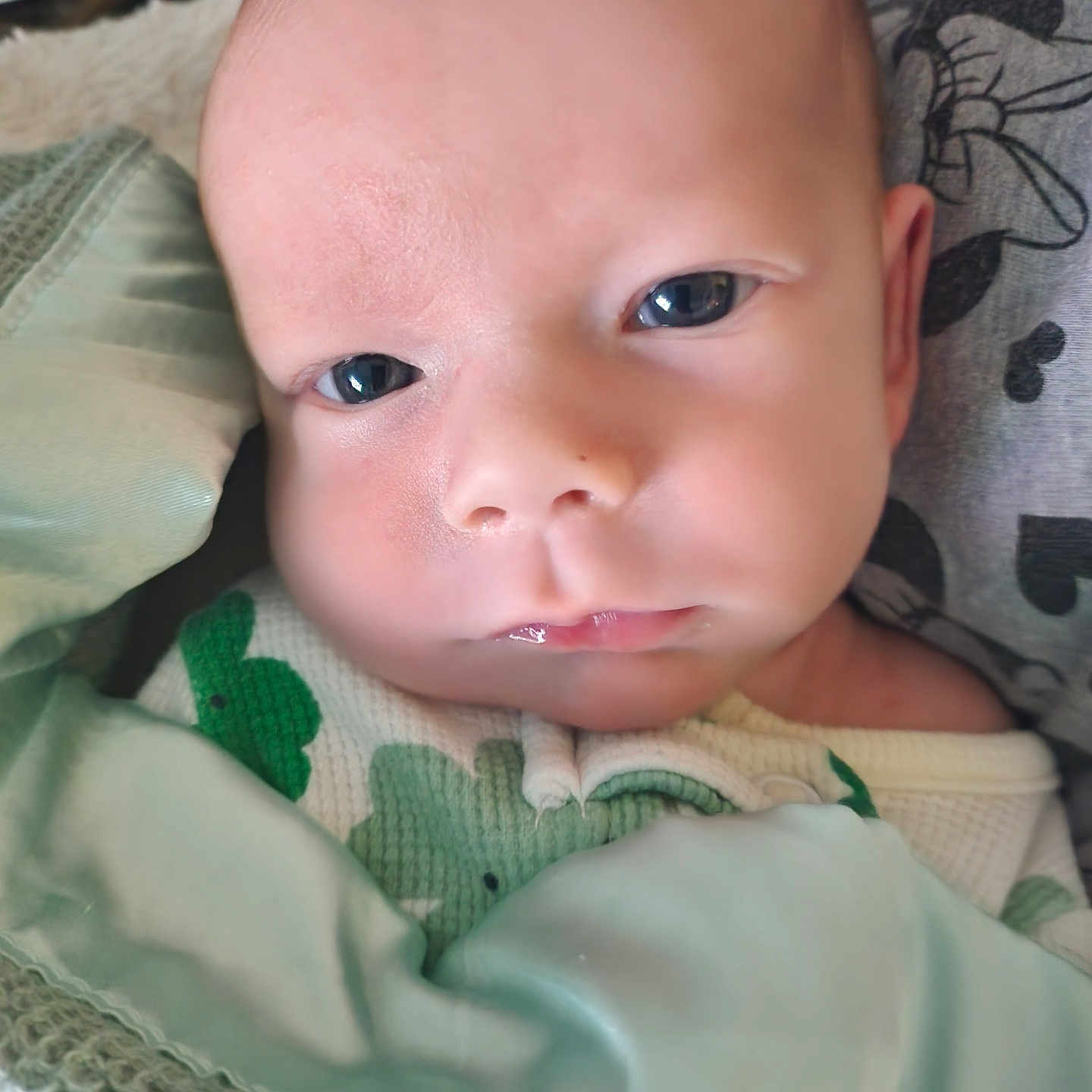 Logan joined the competition — help win amazing prizes! baby, blanket, bodypart, bonnet, clothing, cushion, face, finger, hand, hat, head, homedecor, knitwear, linen, newborn, person, photography, portrait, quilt, sweater