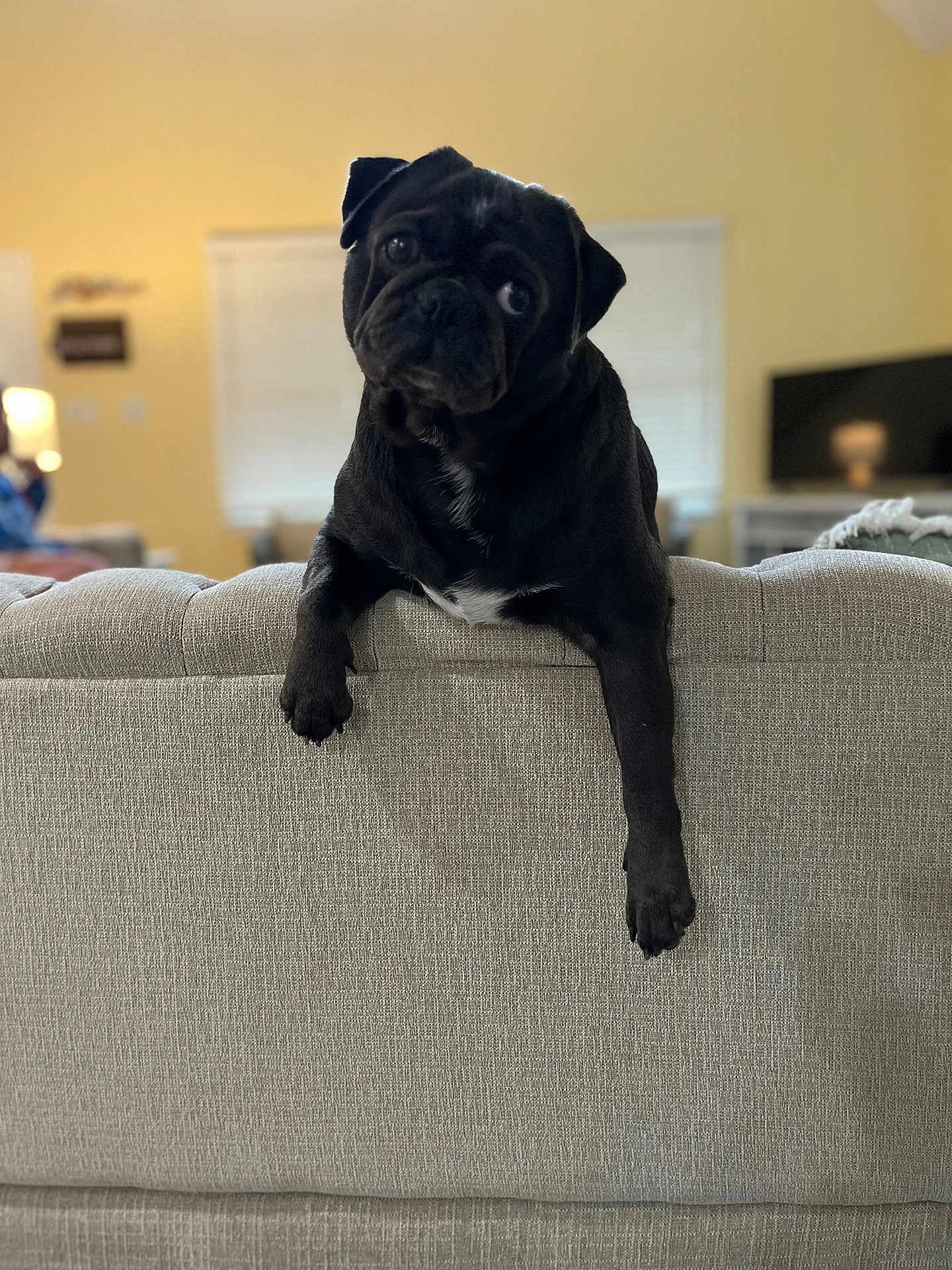 Beesly