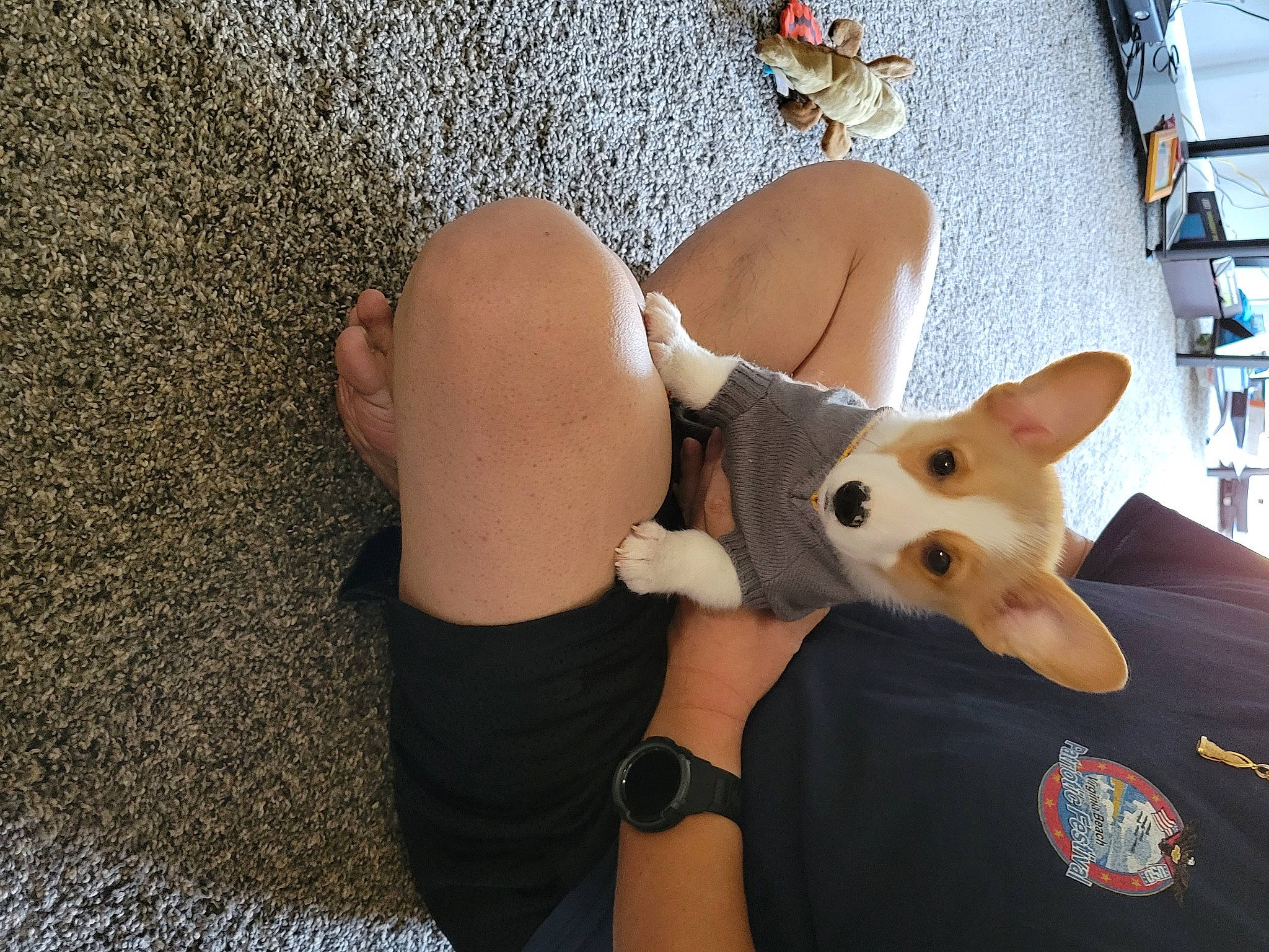 Kenji is registered to the contest to win money with this photo: abdomen, arm, carnivore, companion_dog, cool, dog, dog_breed, eyewear, fawn, foot, hand, headgear, human_body, human_leg, knee, leg, shelf, thigh, toy, trunk