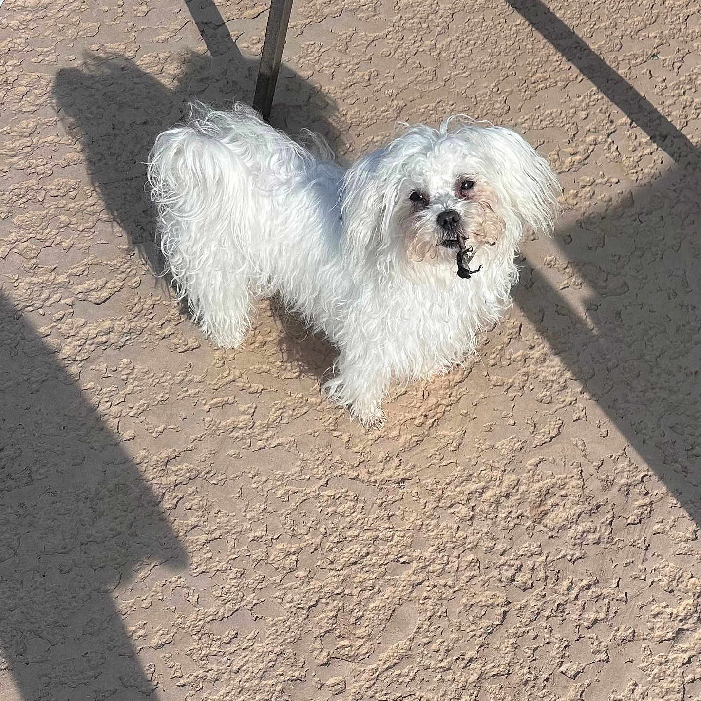 Ellie Mae
