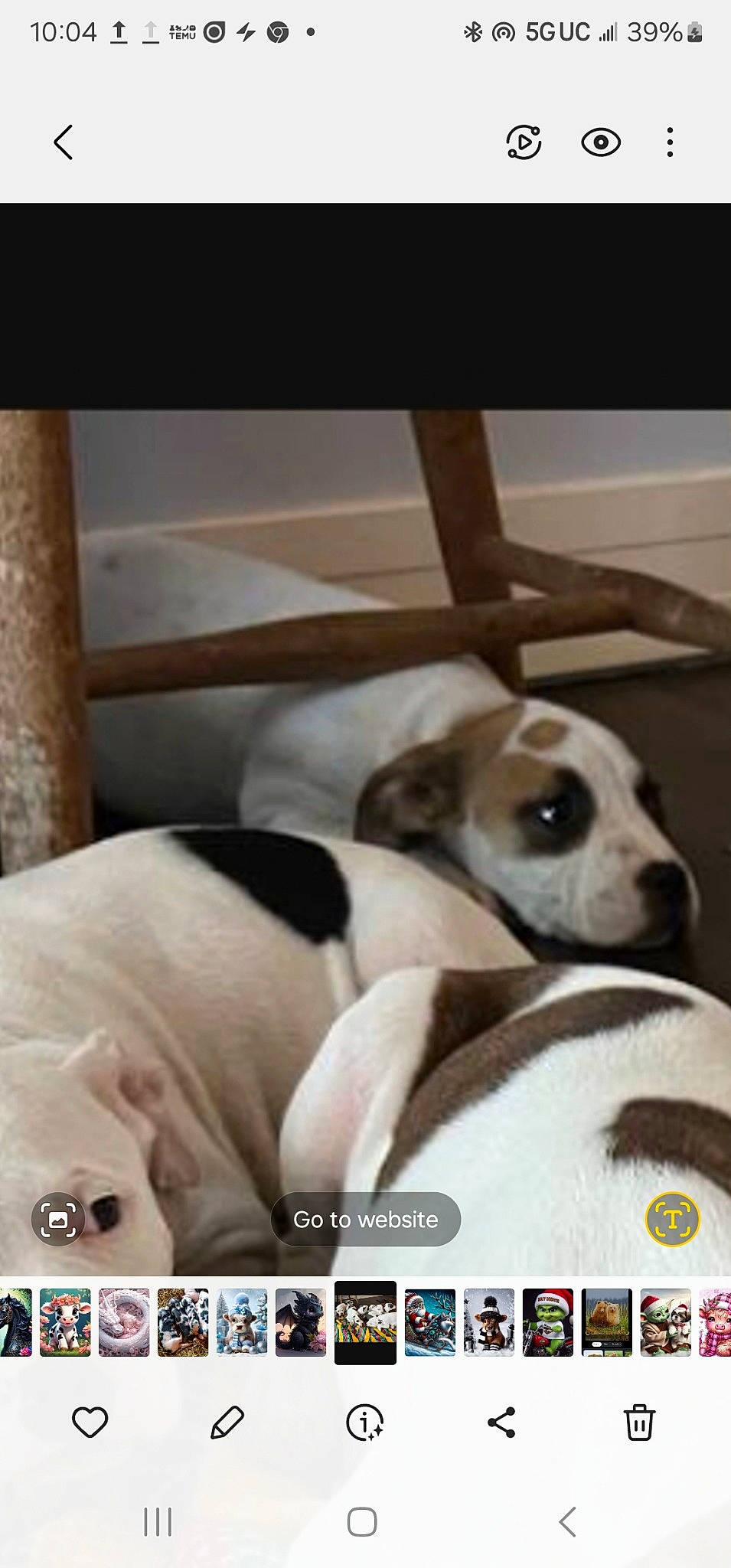 Taz is registered to the contest to win money with this photo: carnivore, comfort, companion_dog, dog, dog_breed, dog_supply, font, linens, pet_supply, photo_caption, screenshot, terrestrial_animal, working_animal