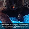 Batman joined the competition — help win amazing prizes! cat, black_cat, sleeping, tongue_out, sticker, basketball_sticker, nose, paw, fuzzy_blanket, blue_blanket, cute, pet, animal, domestic_animal, resting, close_up, indoor, cozy, feline, nap