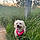 Rosie