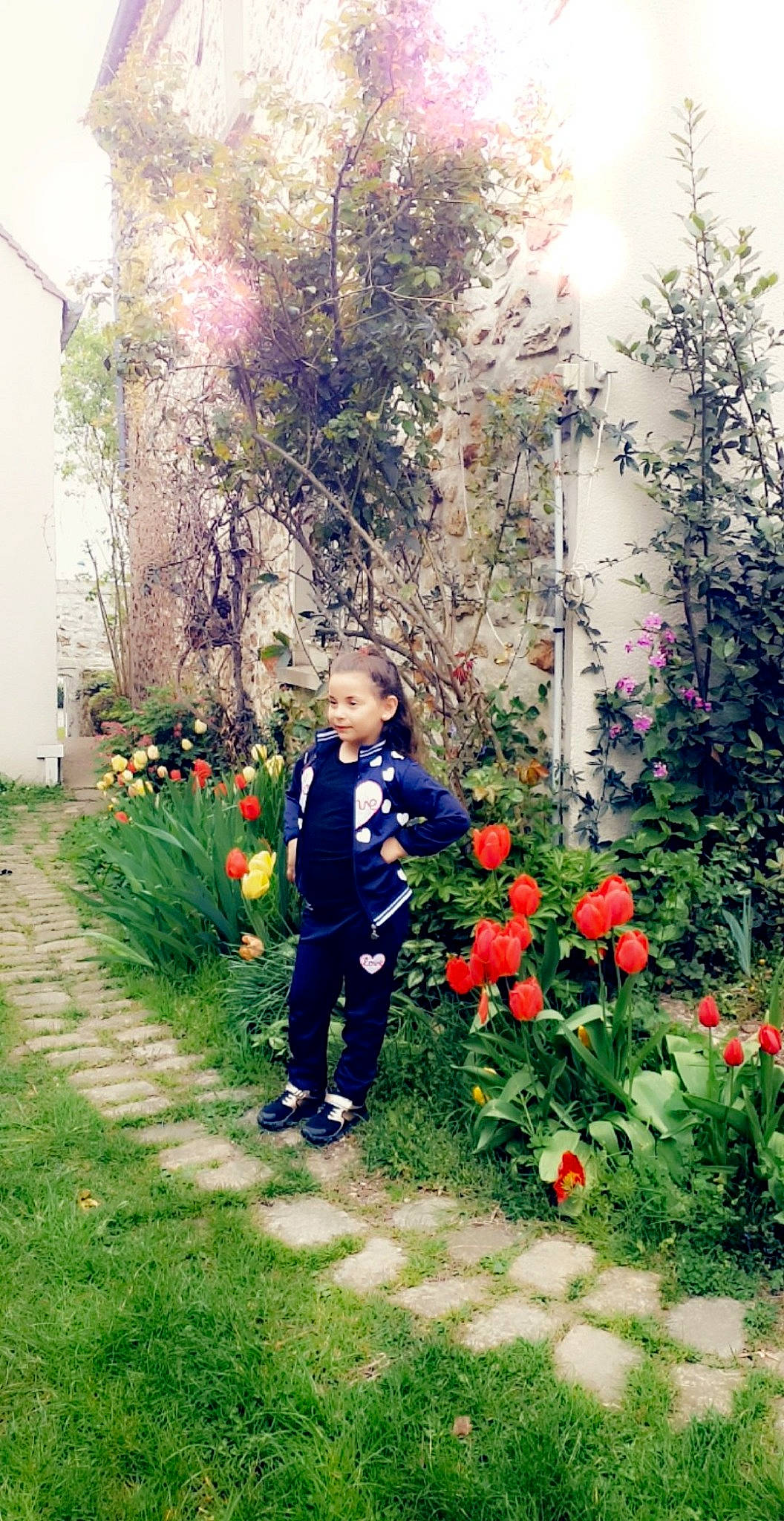 Eli.duygu a rejoint le concours — aidez-le/la à gagner de superbes lots ! annual_plant, backyard, botany, child, coquelicot, floral_design, floristry, flower, garden, grass, landscaping, people_in_nature, person, plant, shrub, spring, toddler, tree, wildflower, yard