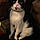 Smudge