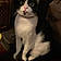 Smudge