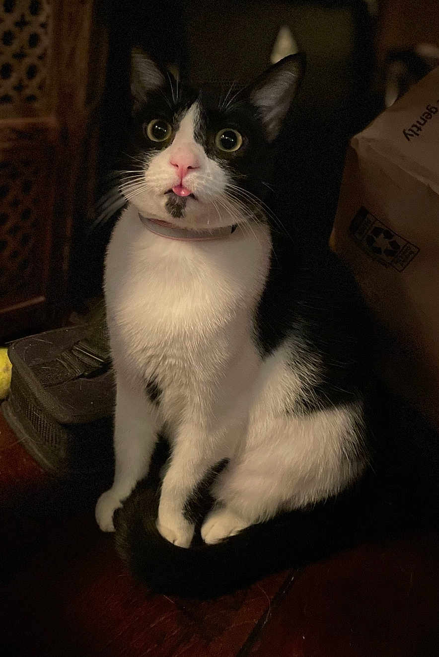 Smudge