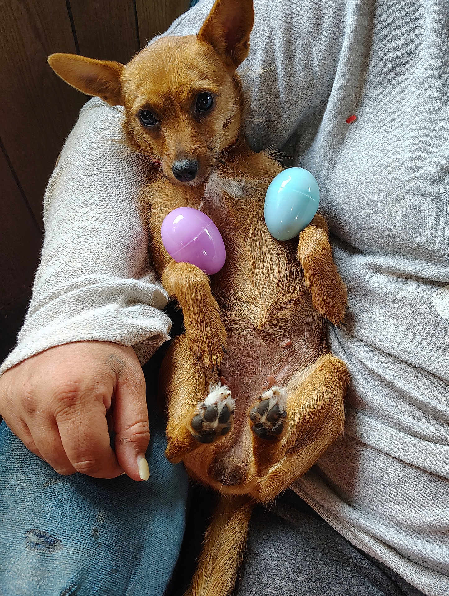 Chica